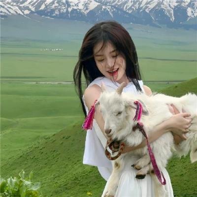 蚊子是怎么生活的